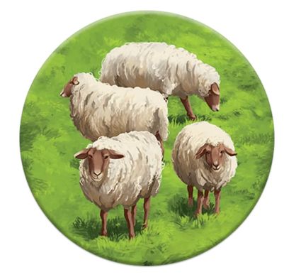 Каркассон: Холмы и овцы