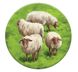 Каркассон: Пагорби та вівці - 4