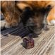 Набір кубиків DOGS Dice Set: Luna (7 шт.) - 5