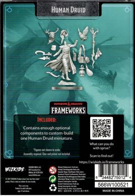 D&D Frameworks W01 Human Druid Female