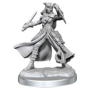 D&D Frameworks W01 Tiefling Rogue Female