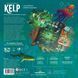 Настільна гра Kelp: Акула проти Восьминога (Kelp: Shark vs Octopus) - 3