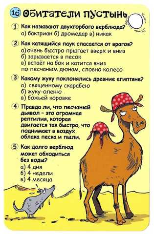 25 интересных вопросов о животных. Интересные вопросы о животных с ответами | Новое время